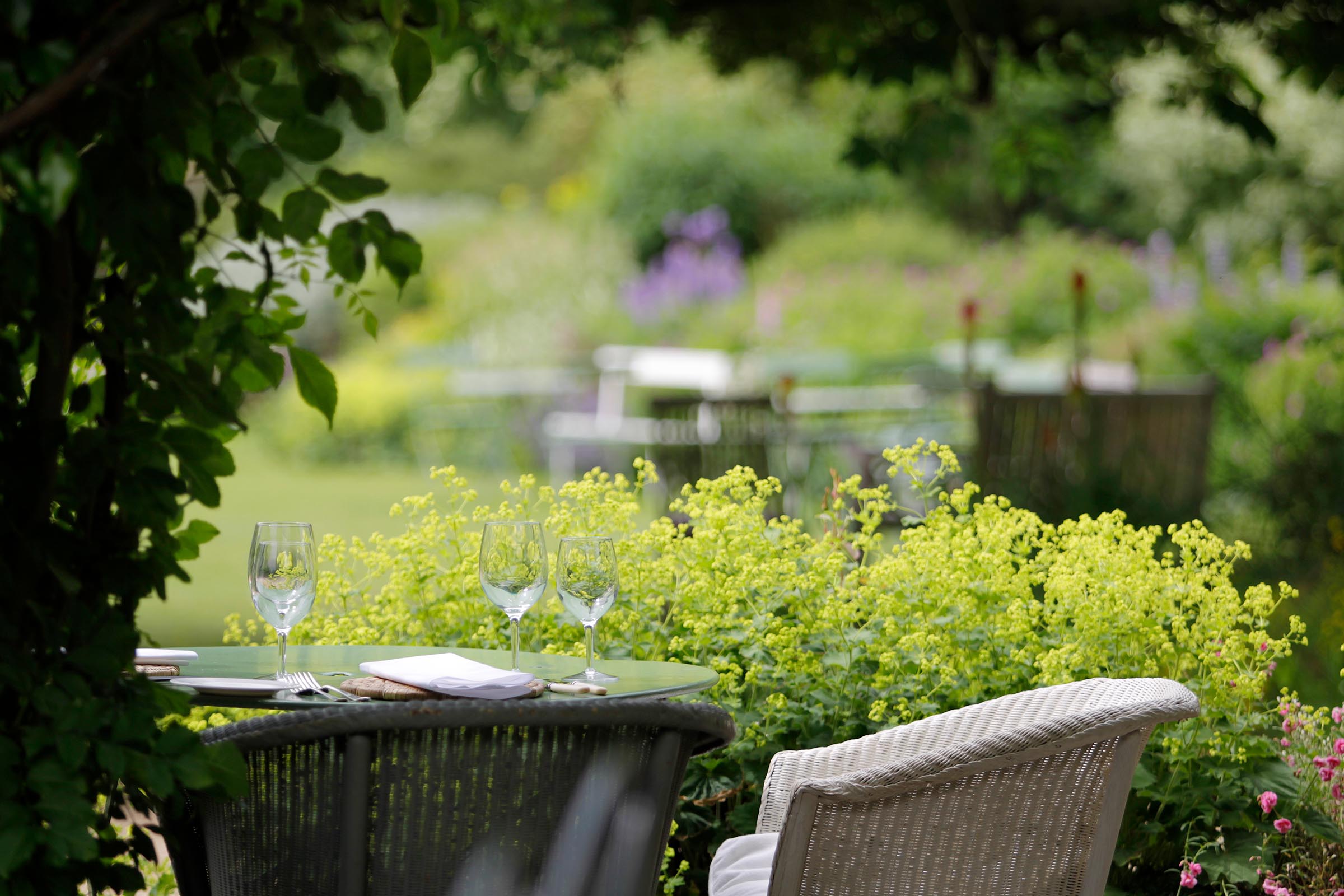 Terrace, showing close up on table.